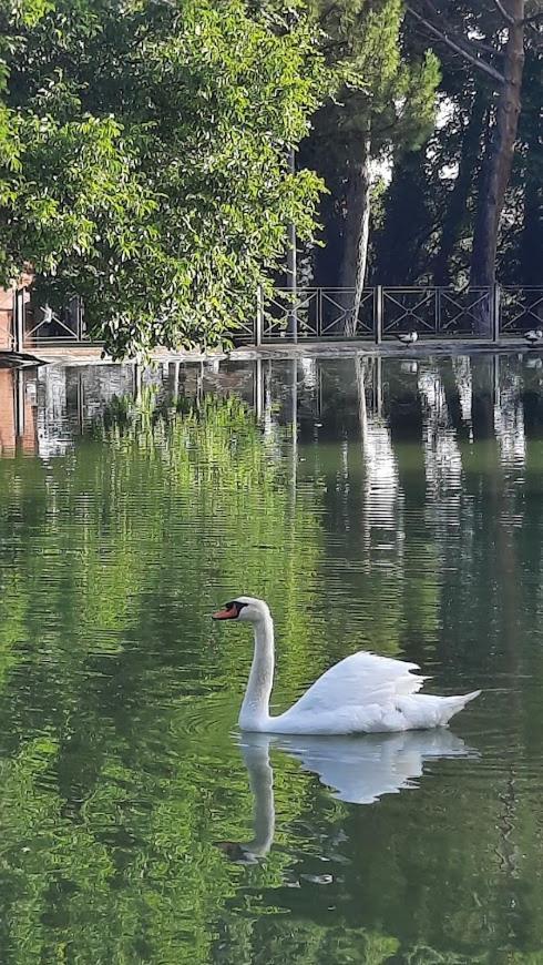 Apartament Aromas Del Jiloca Calamocha Zewnętrze zdjęcie