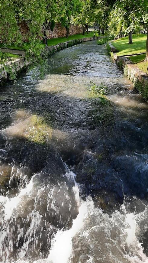 Apartament Aromas Del Jiloca Calamocha Zewnętrze zdjęcie